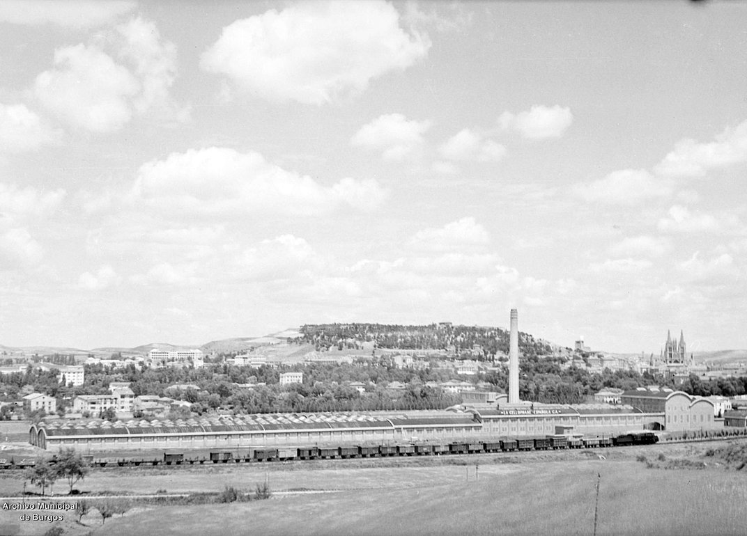 La Cellophane Española